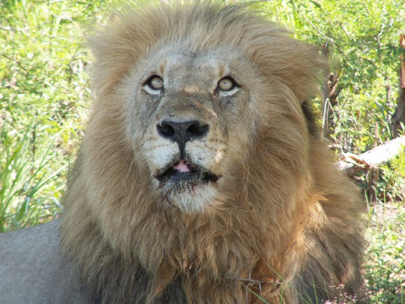 20041202061408.Afrika 0277